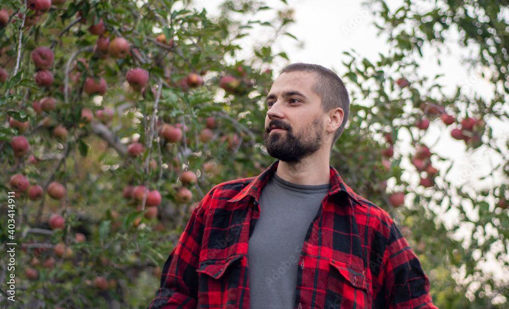 Portrait of a smiling bearded gardener against the background of trees with apples. Organic farm concept. Close-up Portrait of a smiling bearded gardener against the background of trees with apples. Organic farm concept. Close-up