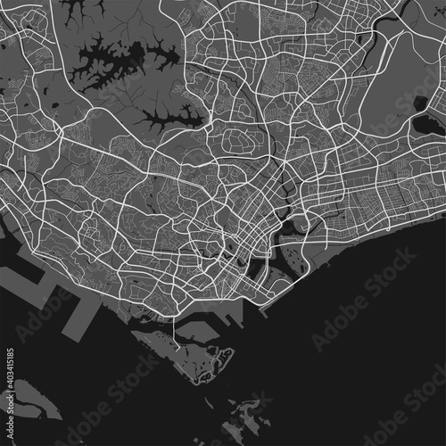 Urban city map of Singapore. Vector poster. Grayscale street map