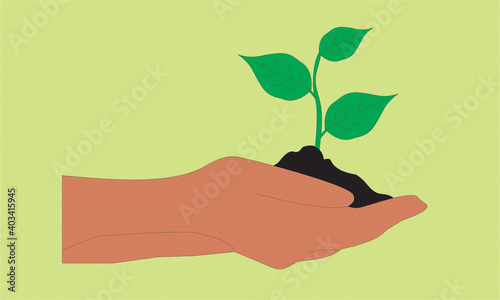 protect plants