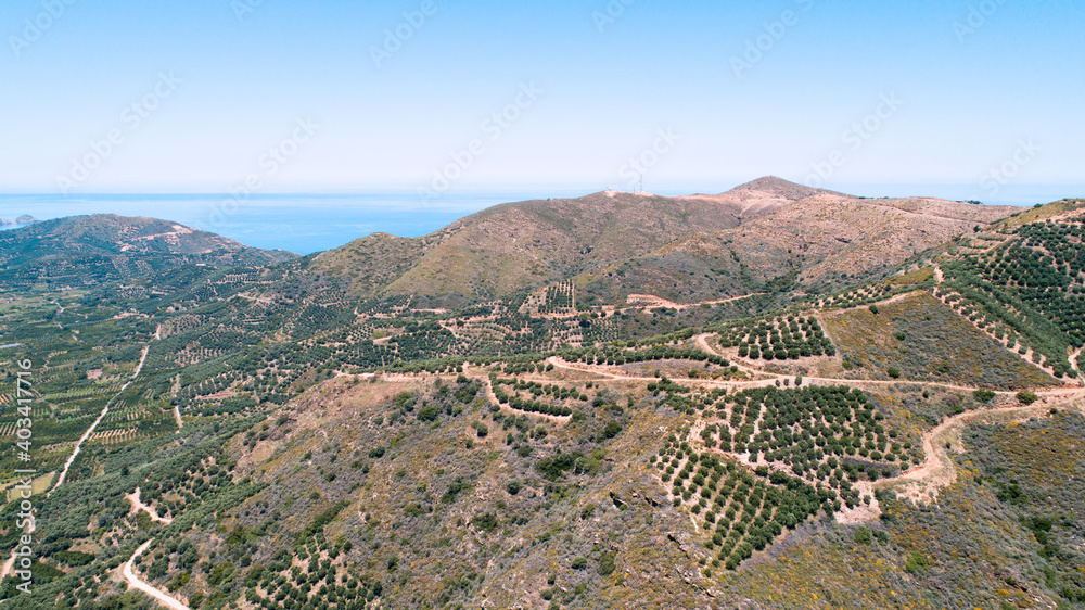 Beautiful landscape of the island from a bird's-eye view. Big plantations of olive trees in the mountains and the sea.