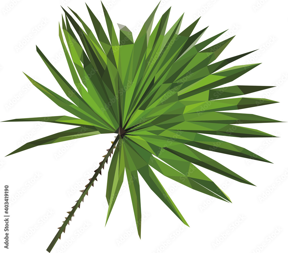 Fototapeta premium Lowpoly Palmblatt