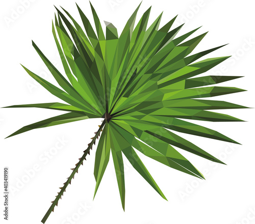 Lowpoly Palmblatt