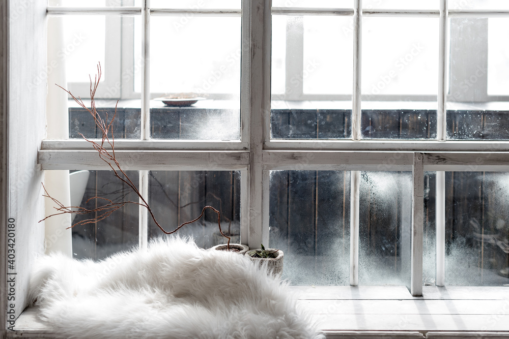 Cozy winter still life. Plants in pots and warm fur on vintage windowsill. Winter season, spending winter time at cozy home concept Cozy winter still life. Plants in pots and warm fur on vintage windowsill. Winter season, spending winter time at cozy home concept