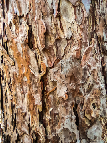Abstract background texture...