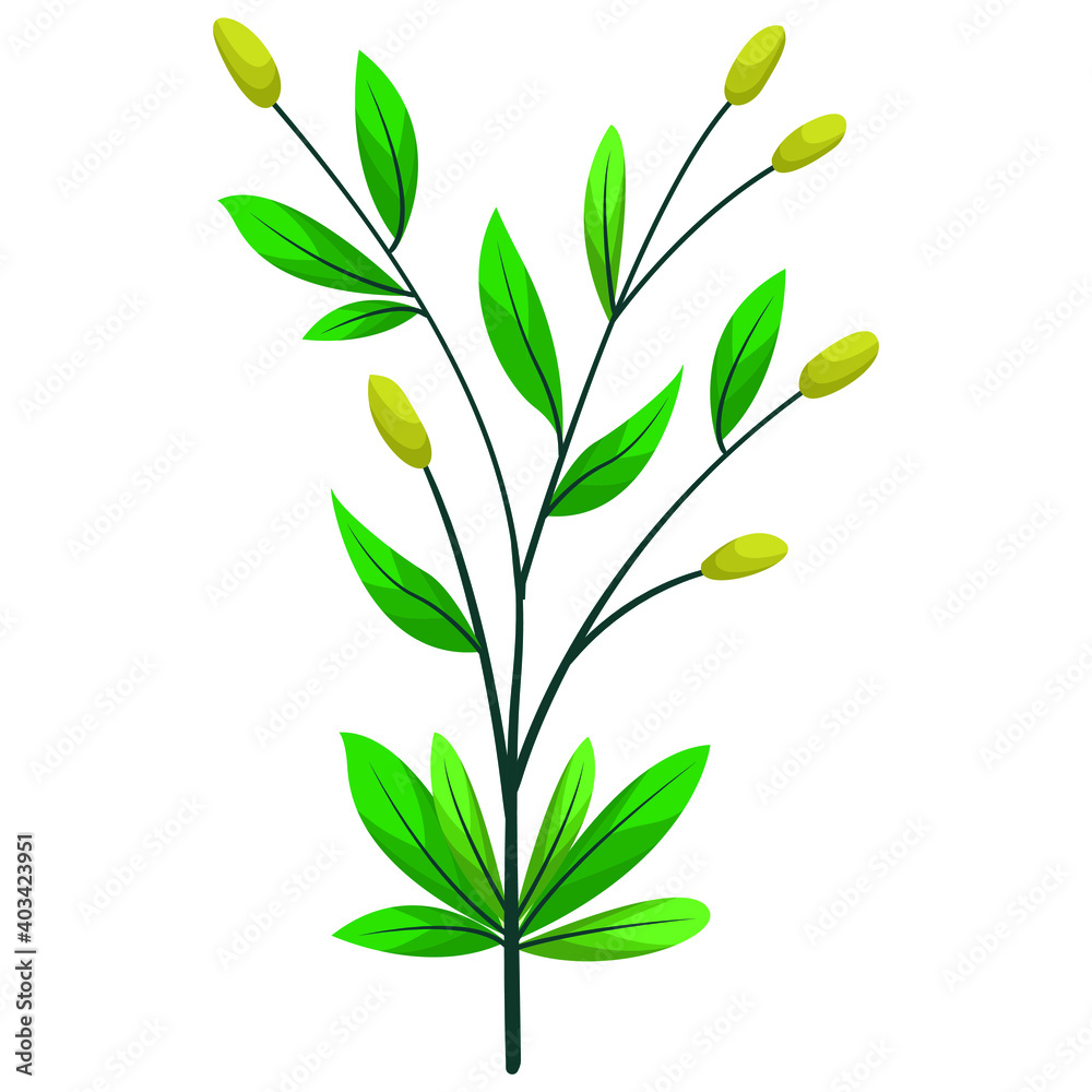 Vector foliate bush; floral element for packaging, posters, banners, etc.