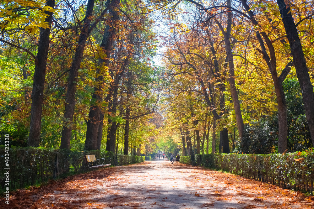 Obraz premium マドリード エル・レティーロ公園