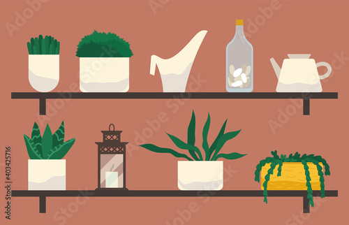 Home plants and decorative flowers in pots, standing on the shelves. Flowerpots and watering cans, lantern with candles and decorative elements of the interior. Green interior wall shelves in house