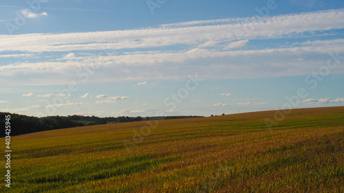Paysage gersois tout en relief, composé de champs de maïs à perte de vue