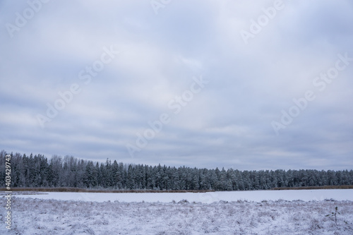 winter landscape with trees, frozen lake and snow © Ilze