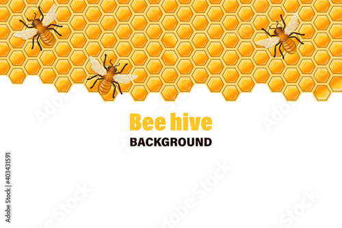 Bee sitting on comb of honey. Vector illustration.