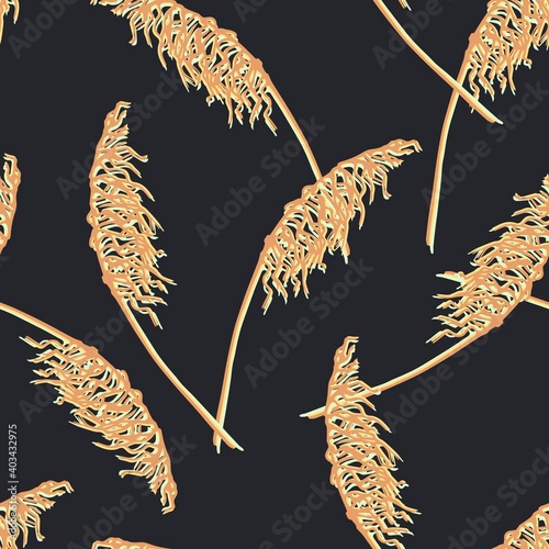 Hand-drawn simple floral vector seamless pattern. Light beige panicles inflorescence of pampas grass on a black background. For print fabrics, curtains, textile products, boho decor.