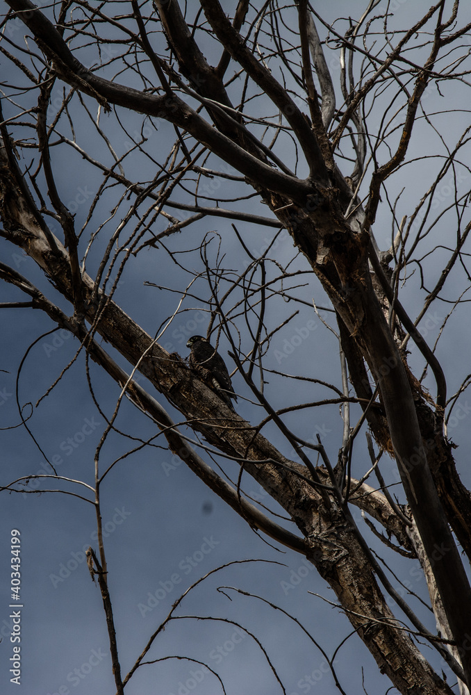 viajar por el mundo- travel the world
