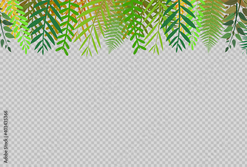Green leaf frame pattern on top isolated on white vector illustration
