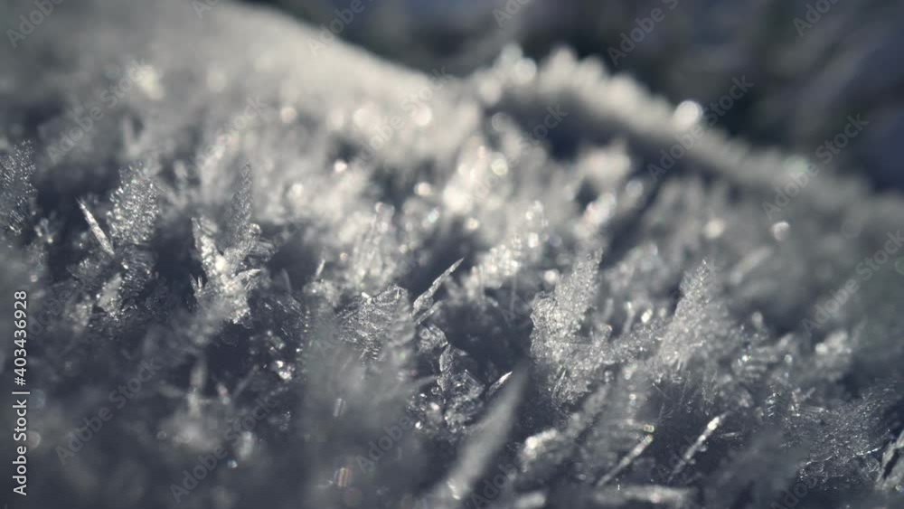 Snow crystals in backlight. Sliding super macro shot of grains of fresh snow in the morning sun. Winter snow concept
