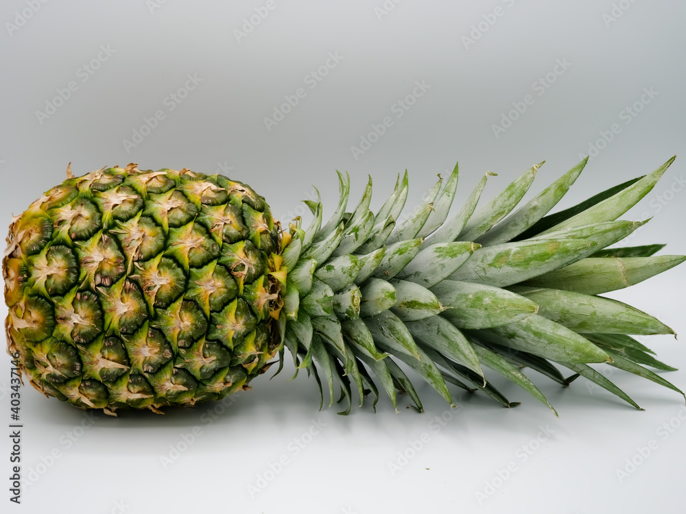 Ananas leigend grün unreif Focus stacking Ananas leigend grün unreif Focus stacking