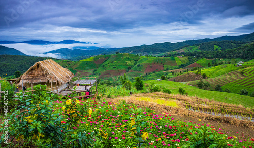 Beautiful rice field in the countryside of northern Thailand.