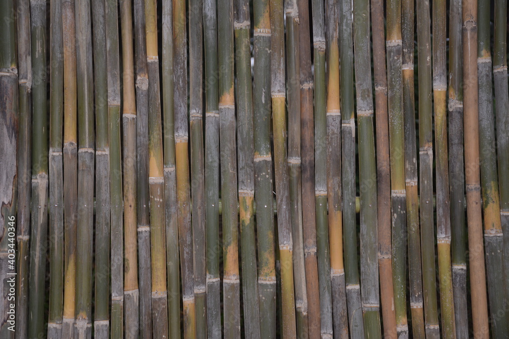 bamboo piles for decoration and design bamboo piles for decoration and design