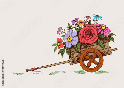 Cartoon garden wheelbarrow with flowers. Gardening flower cart isolated