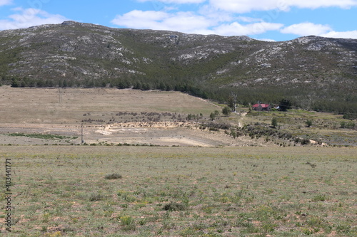 Bewässerungssysteme bei Joubertina. Dürre in Südafrika. Viele Stauseen sind ausgetrocknet. Sogar sukkulente Pflanzen vertrocknen. photo