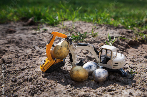 Wallpaper Mural On the ground, against a backdrop of green spring grass, two toy excavators are carrying small quail eggs painted in gold and silver. Easter holiday concept for business, construction companies Torontodigital.ca