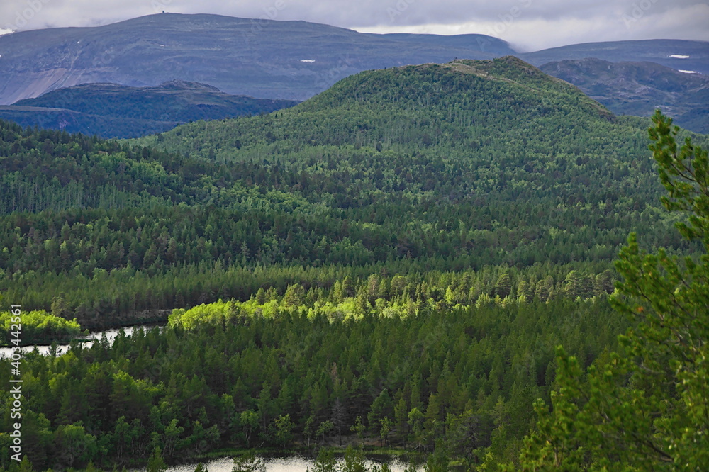 Fototapeta premium E6 etween Porsangmoen & Karasjohka, Finnmark County, Norway.