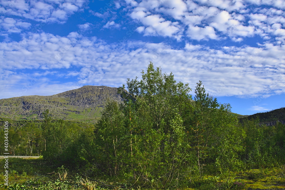 South of Sandhagen, Norland County, Norway