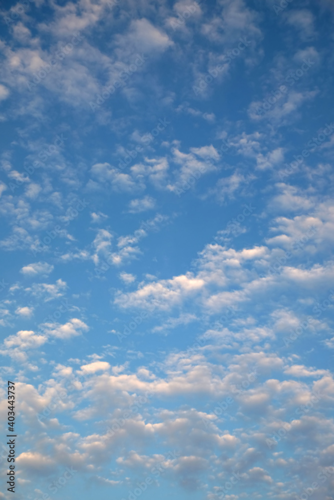 Beautiful sky landscape with many soft light white clouds high in the stratosphere on a sunny day vertical photo