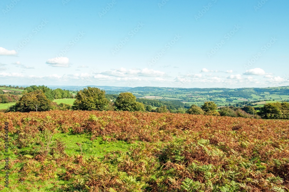 Begwns national park in the Brecon beacons of Wales, in the summertime.