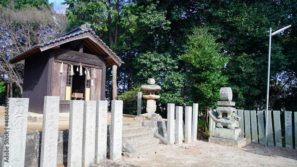 Fototapeta premium 縣主神社