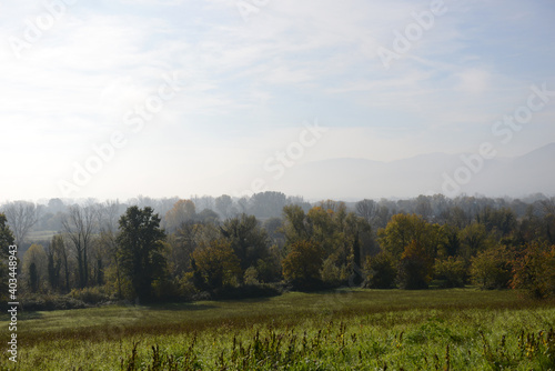 NEBBIA