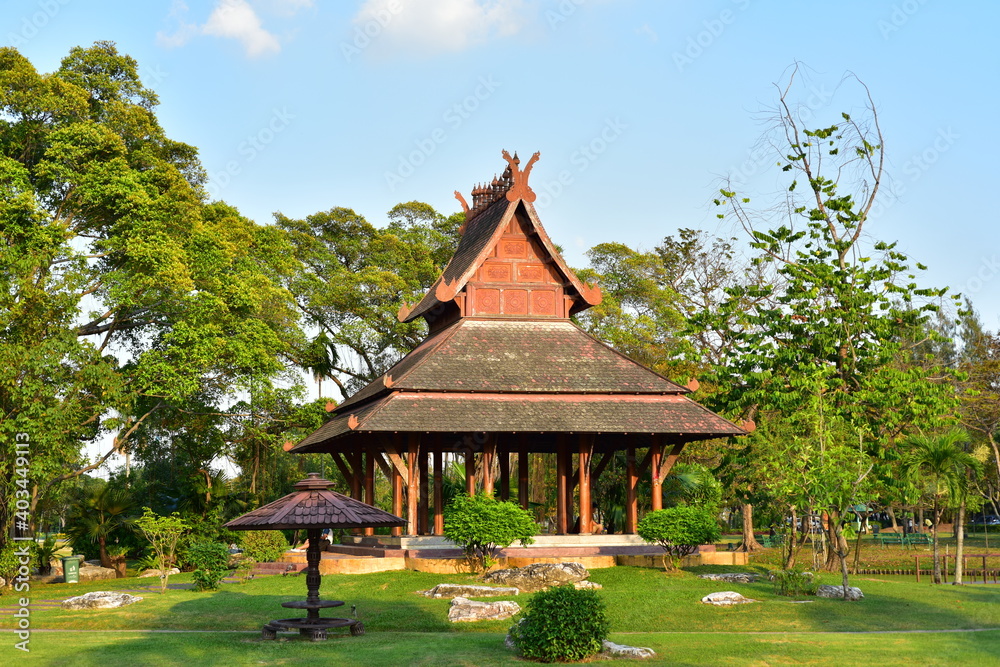 Colorful flowers in nature.flowers in the garden.Flower Blooming in the Suan Luang Rama IX Park. 