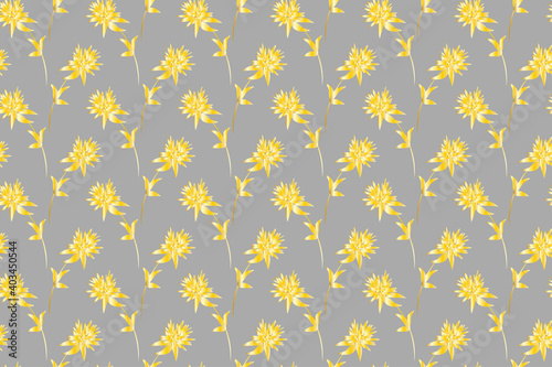 Floral pattern in scandinavian style. Yellow clover flowers on gray background. Seamless background, vector drawing in modern colors. For identity designs, packaging and textile.