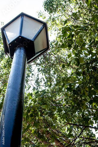 Parisian lamp post