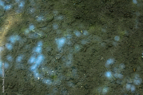 bokeh in the water