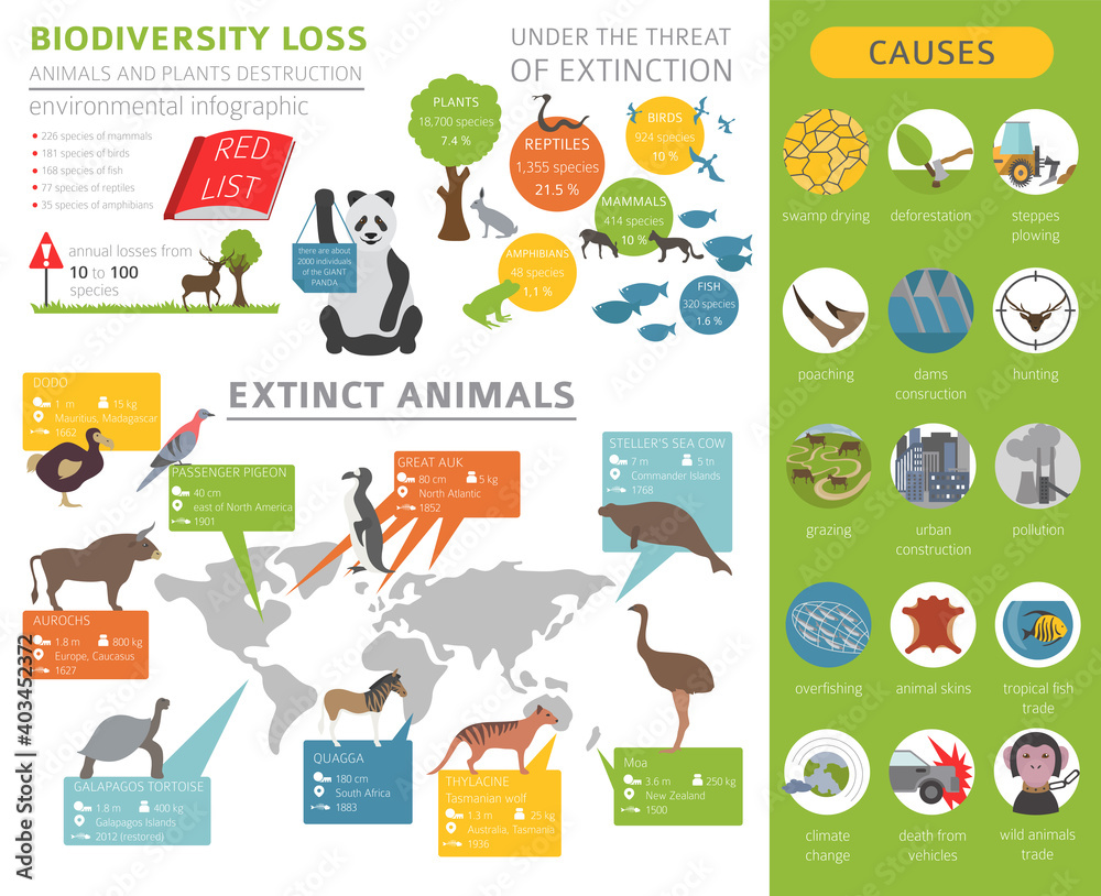 Global environmental problems. Biodiversiry loss infographic. Extinct animal and birds
