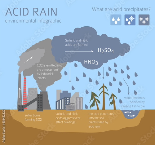 Global environmental problems. Acid rain infographic