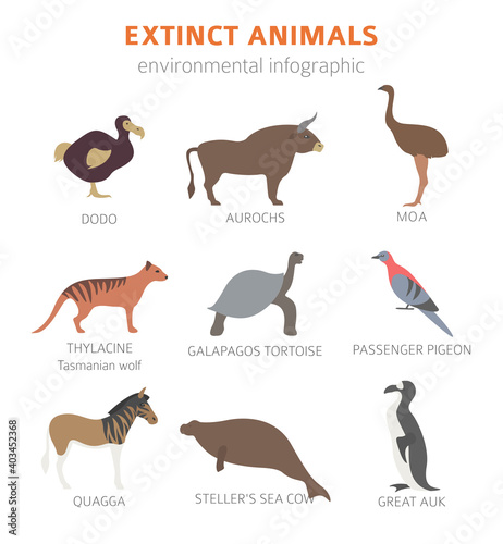 Global environmental problems. Biodiversiry loss infographic. Extinct animal and birds