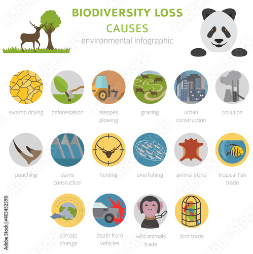 Global environmental problems. Biodiversiry loss infographic. Plants and animals destruction. Vector illustration