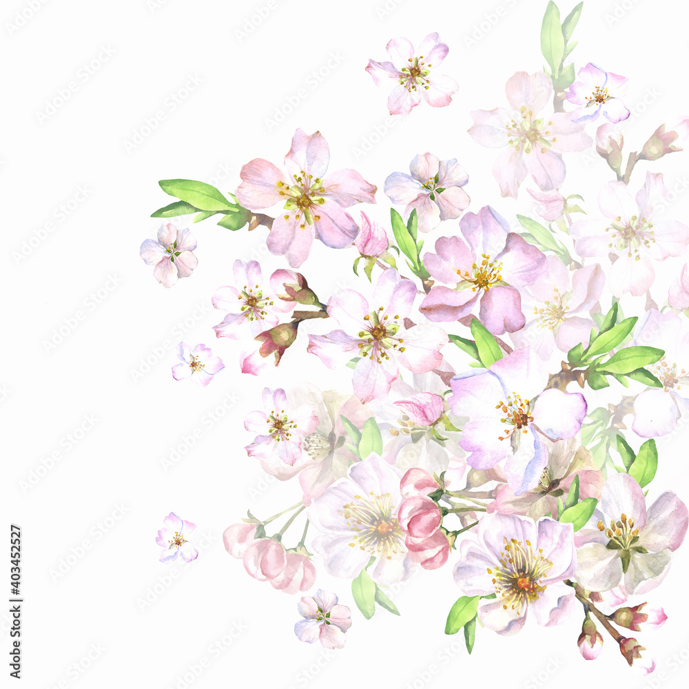 watercolor cherry blossom branch