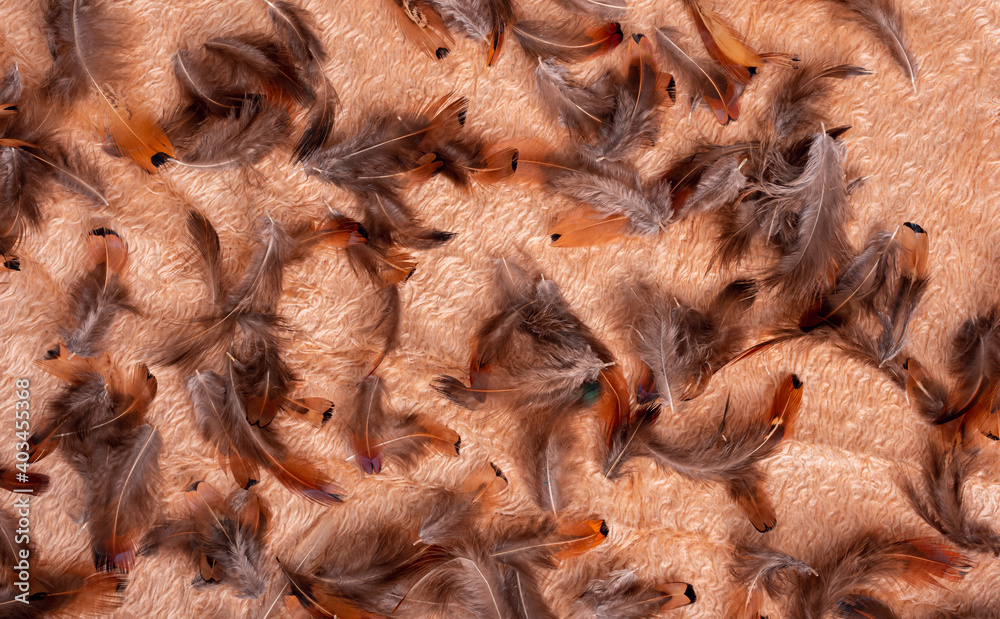 Alot of bird wings together on a fluffy cloth Alot of bird wings together on a fluffy cloth