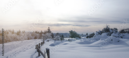 Stunning panorama of snowy landscape in winter in Black Forest - winter wonderland 