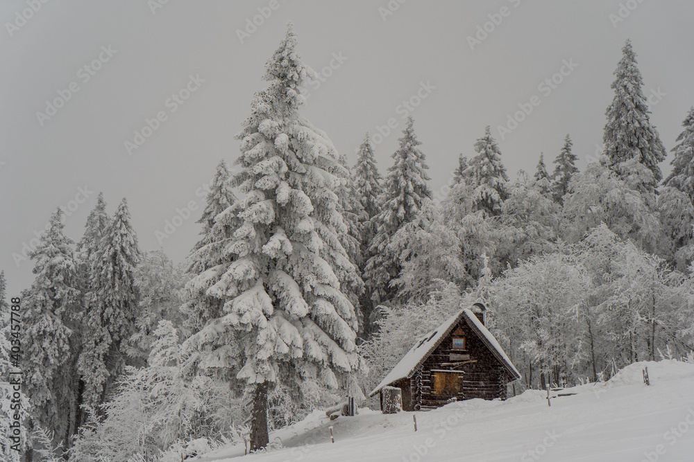 Herzogenhorn im Schwarzwald