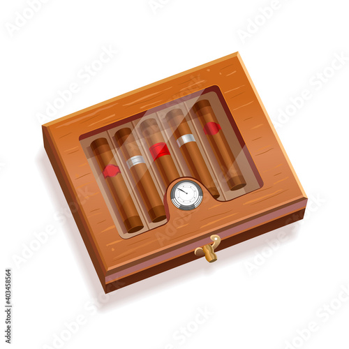 Cigars in a wooden box with a glass lid. 5 cigars in a box. Vector realistic illustration isolated on white background.