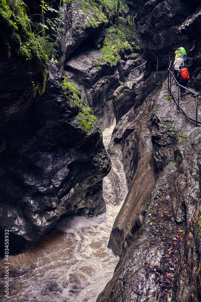 The magical wild nature of Bavaria in the Starzlachklamm. The magical wild nature of Bavaria in the Starzlachklamm.
