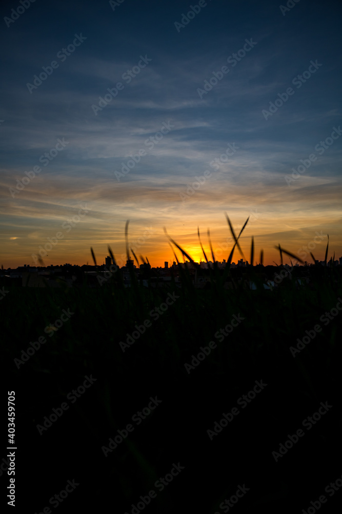 Photos of the sunset at the end of the day with the contour of grasses and plants in londrina, parana, brazil Photos of the sunset at the end of the day with the contour of grasses and plants in londrina, parana, brazil