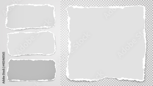 Set of torn white note, notebook paper pieces stuck on blank and grey squared background. Vector illustration