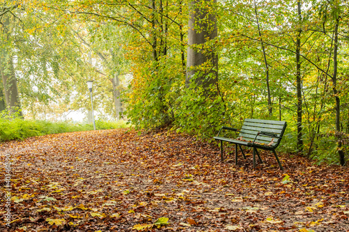 Fototapeta Naklejka Na Ścianę i Meble -  Bench in autumn forest
