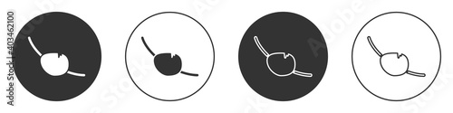 Black Pirate eye patch icon isolated on white background. Pirate accessory. Circle button. Vector.