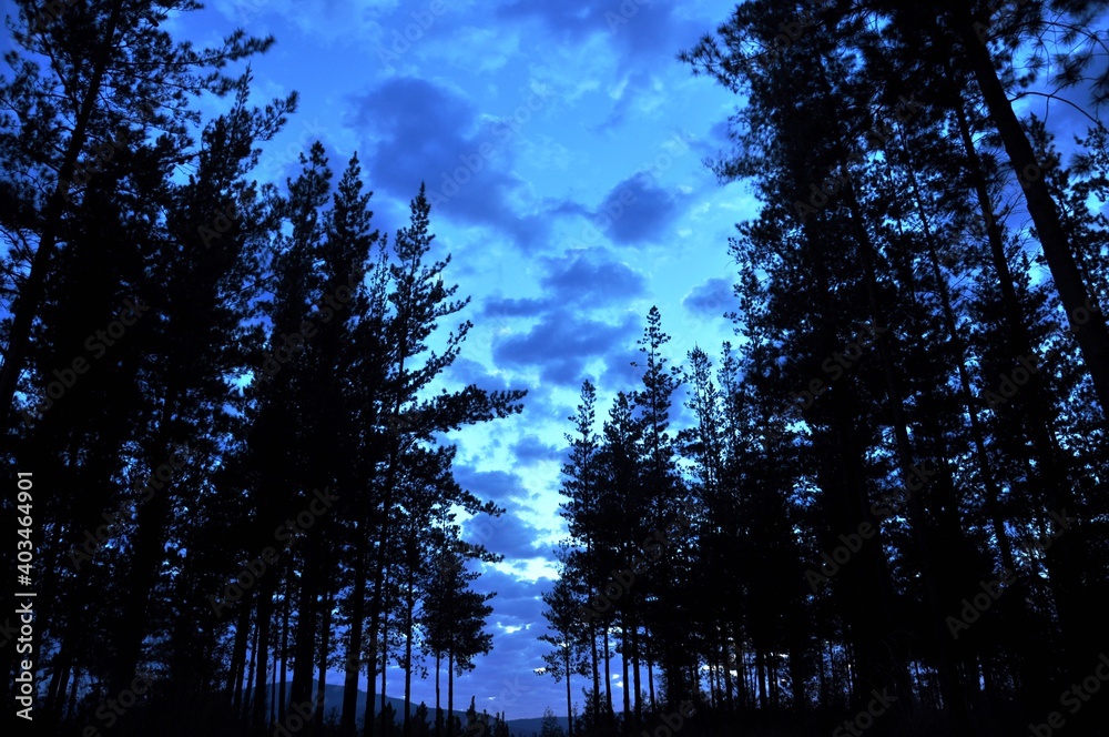 Obraz premium Cloudy