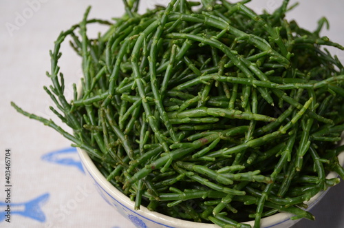 Superfood: essbarer europäischer Queller oder Salicorne oder Seespargel Salicornia europaea